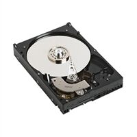 Dell Dysk twardy 1TB NearLine SAS 7200 RPM 3,5" (400-ALQZ)