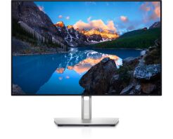 Dell Monitor U2421E 24,1'' (210-AXMB/5Y)